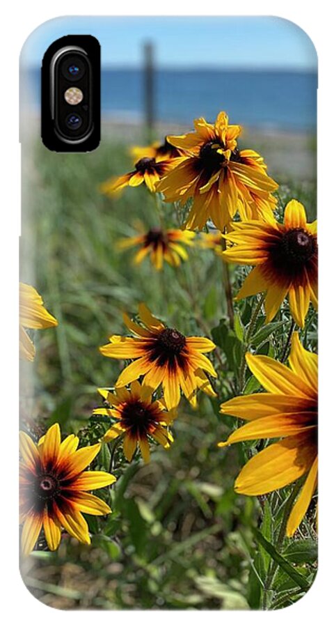 Lazy Days - Phone Case