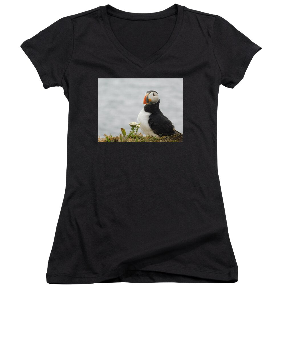 Posing Puffin - Women's V-Neck