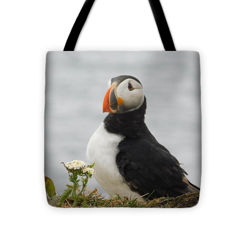 Posing Puffin - Tote Bag