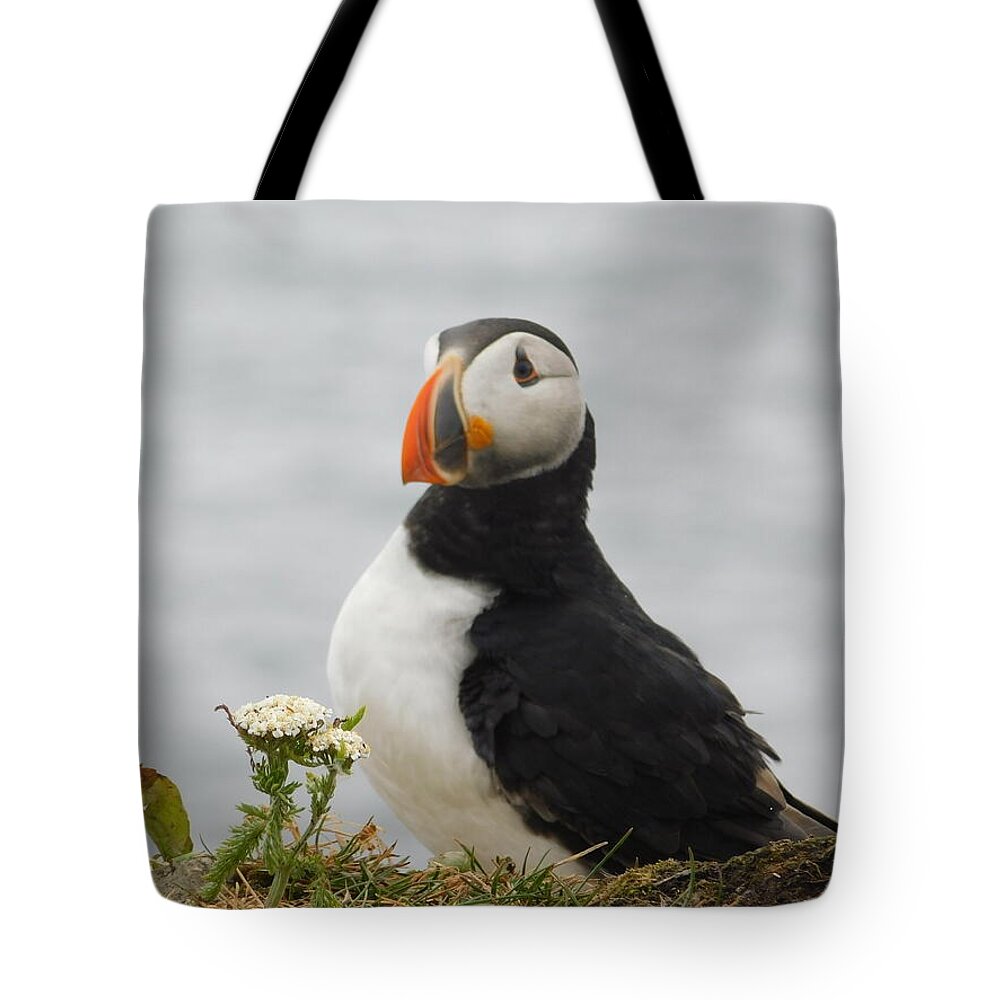 Posing Puffin - Tote Bag
