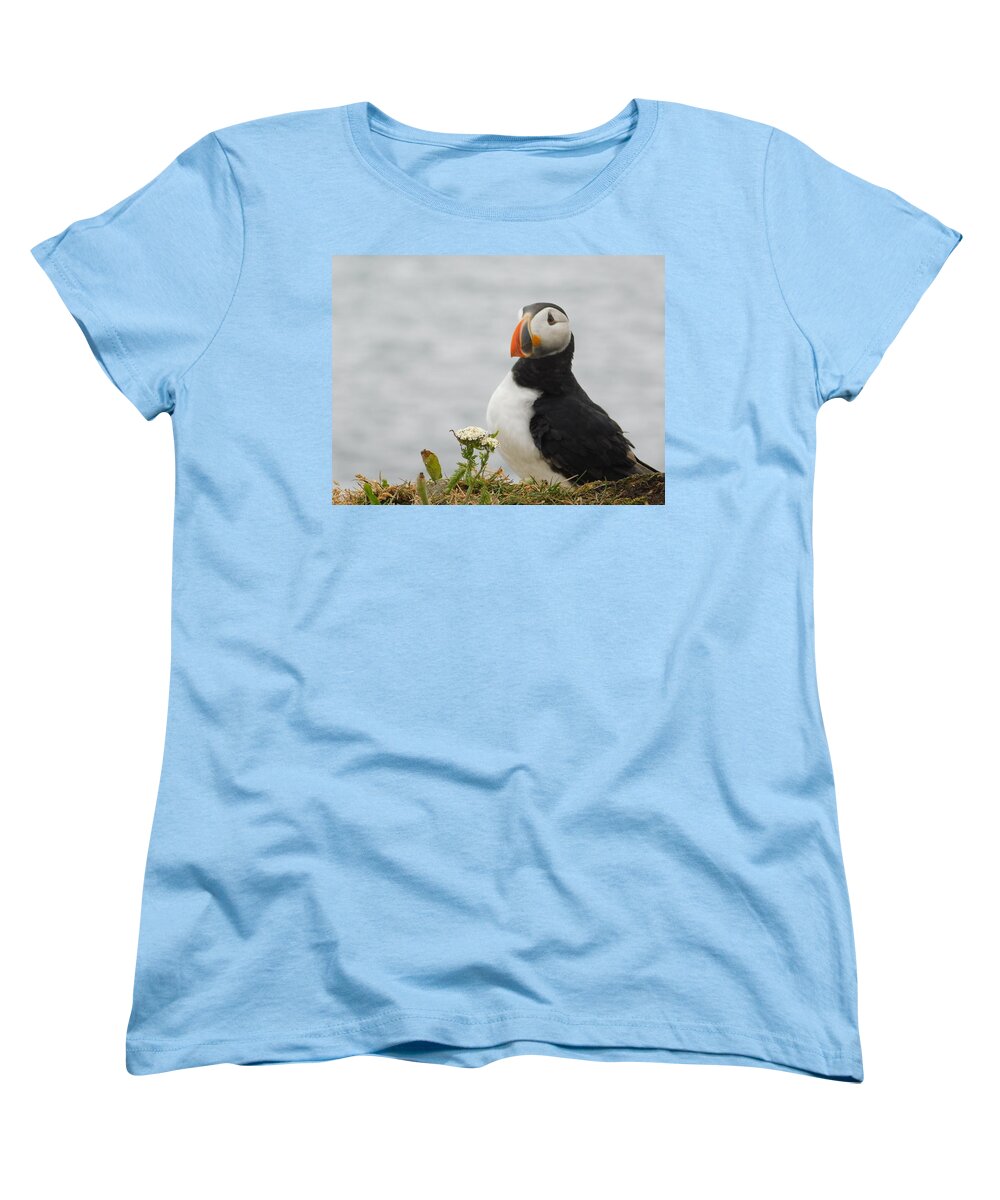 Posing Puffin - Women's T-Shirt (Standard Fit)