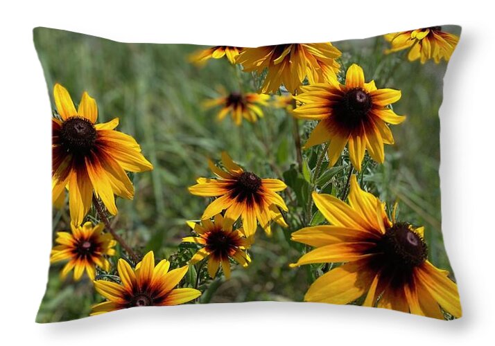Lazy Days - Throw Pillow