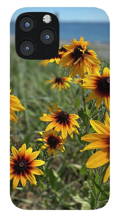 Lazy Days - Phone Case