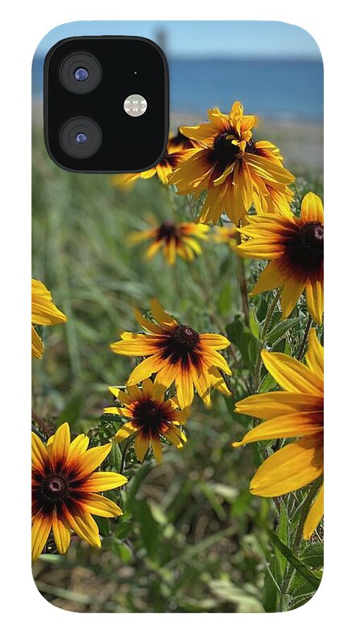 Lazy Days - Phone Case