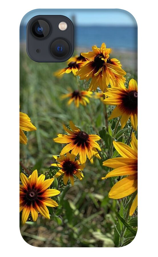 Lazy Days - Phone Case