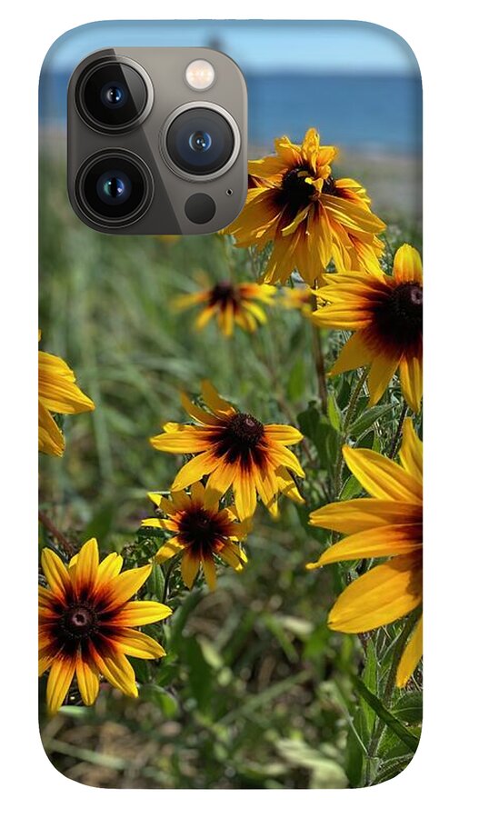Lazy Days - Phone Case