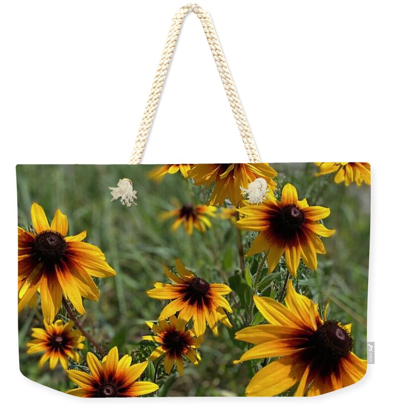 Lazy Days - Weekender Tote Bag