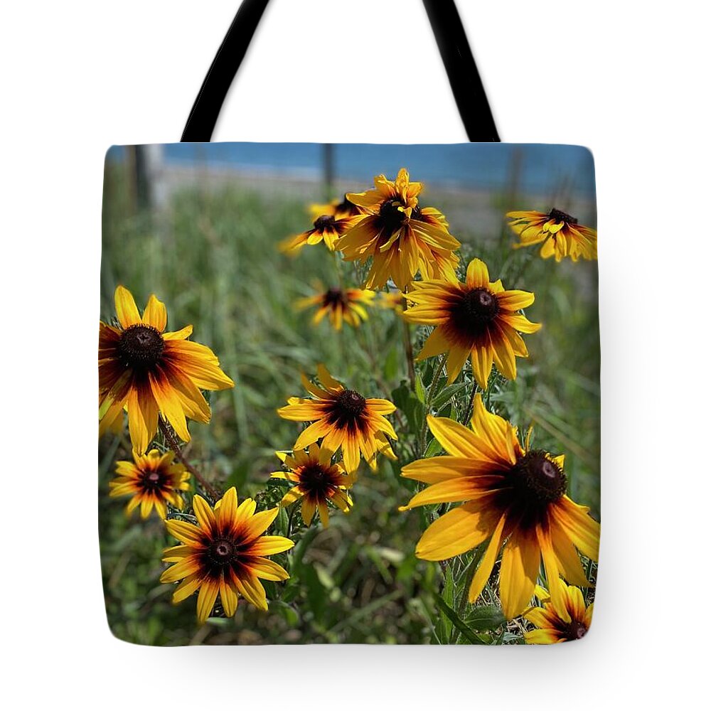 Lazy Days - Tote Bag