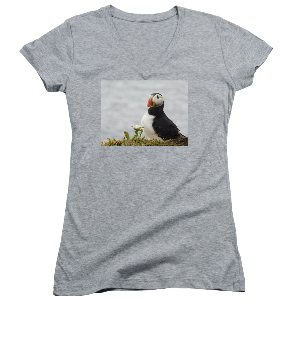 Posing Puffin  - Women's V-Neck