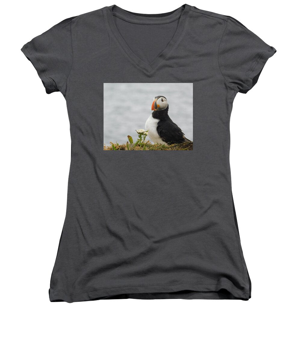Posing Puffin  - Women's V-Neck