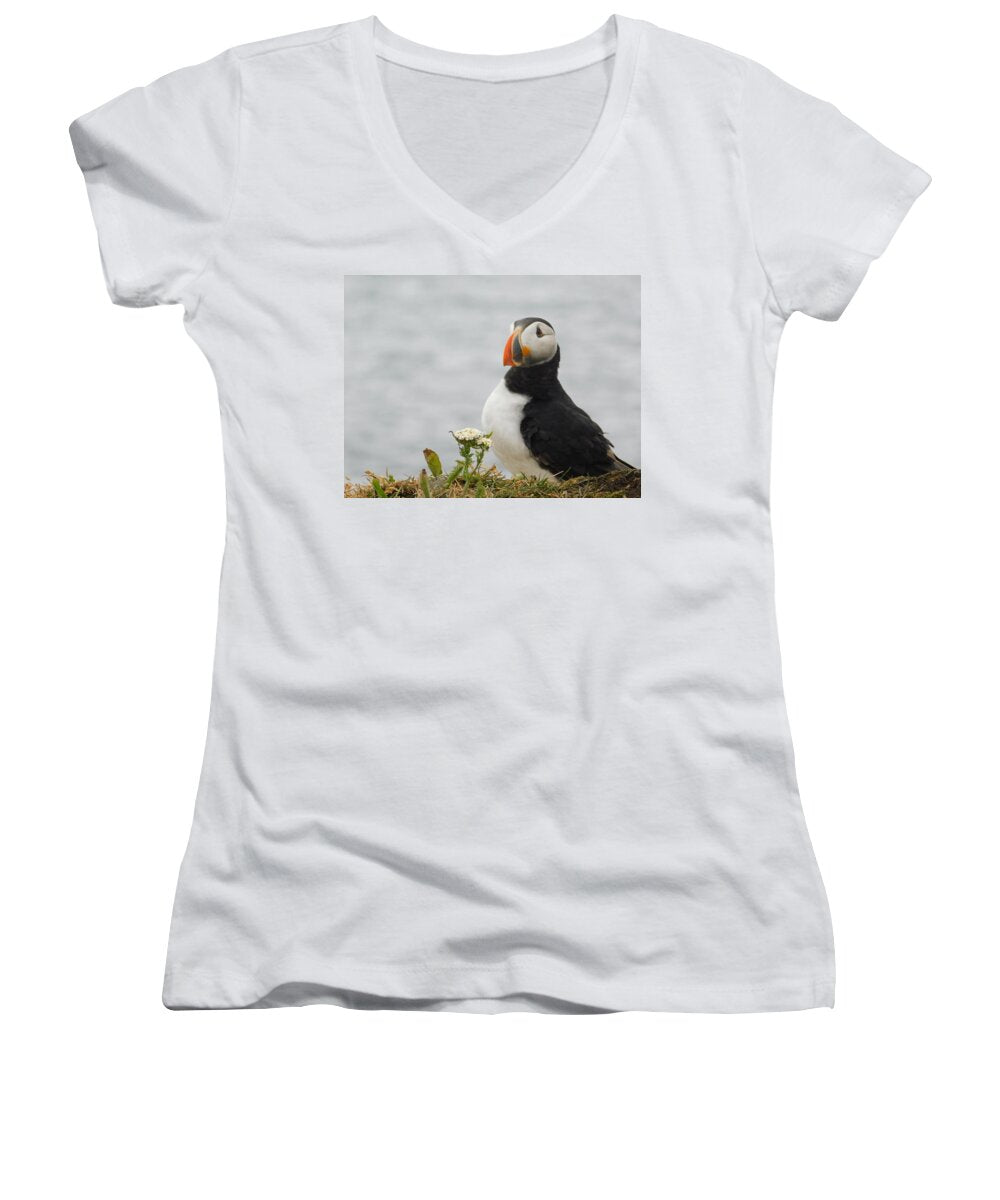 Posing Puffin  - Women's V-Neck