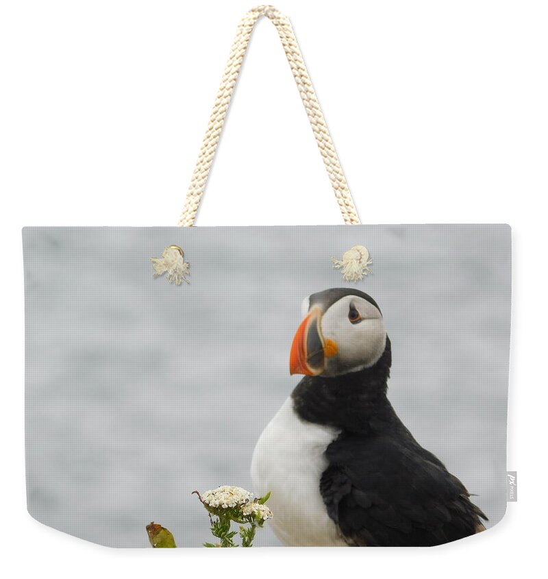 Posing Puffin  - Weekender Tote Bag