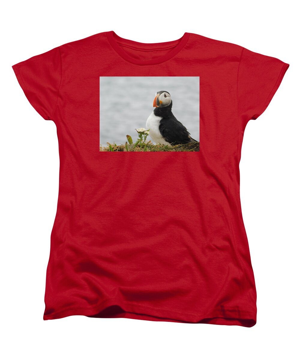 Posing Puffin  - Women's T-Shirt (Standard Fit)